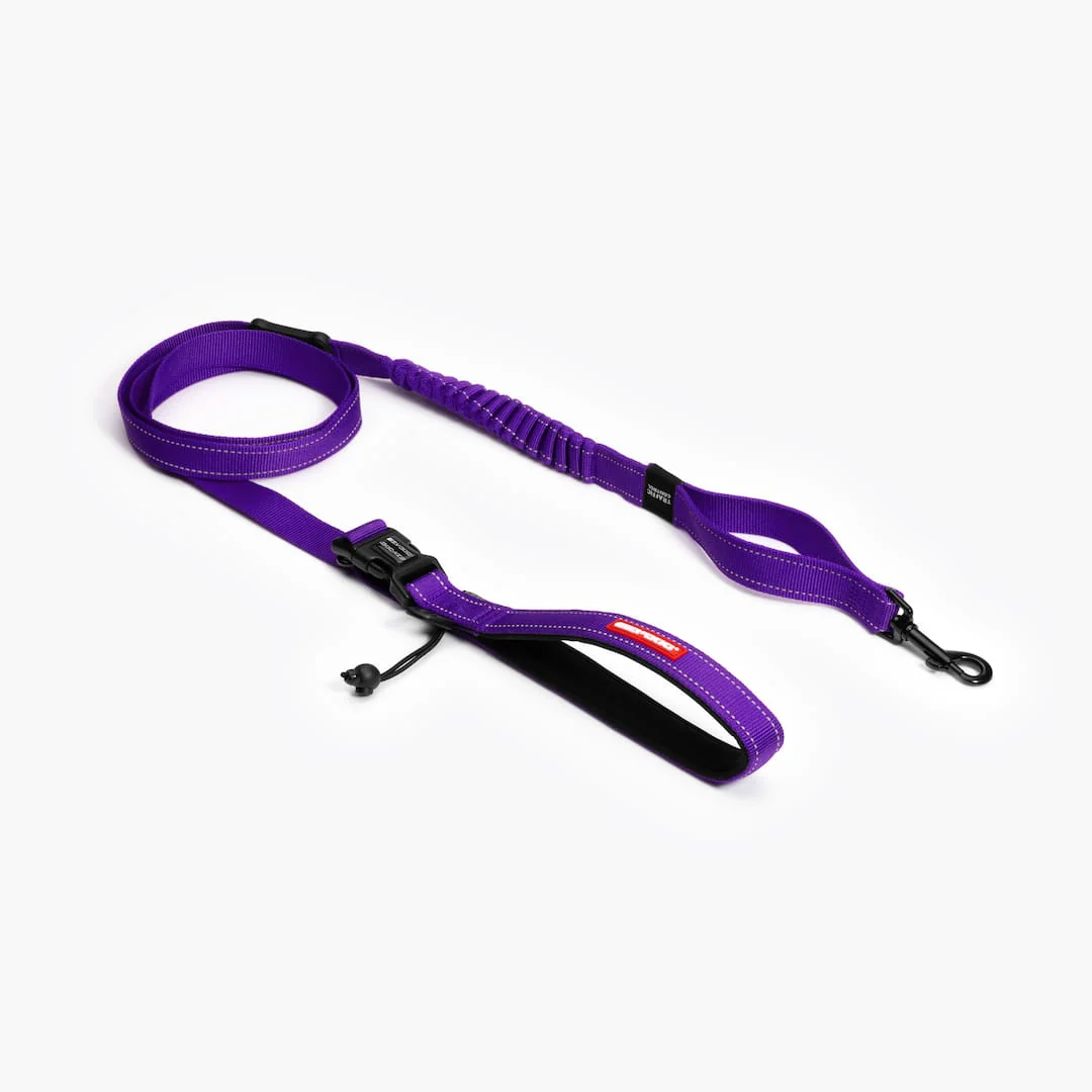 Road Runner™ Leash - Image 9