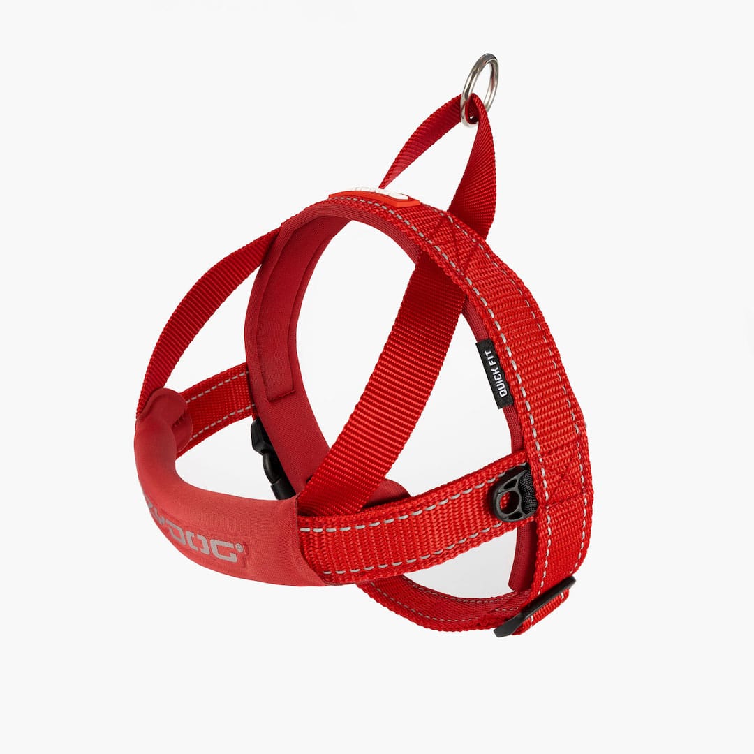 Running Bundle - Image 9