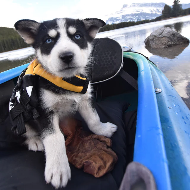 Micro DFD™ Life Jacket - Image 6