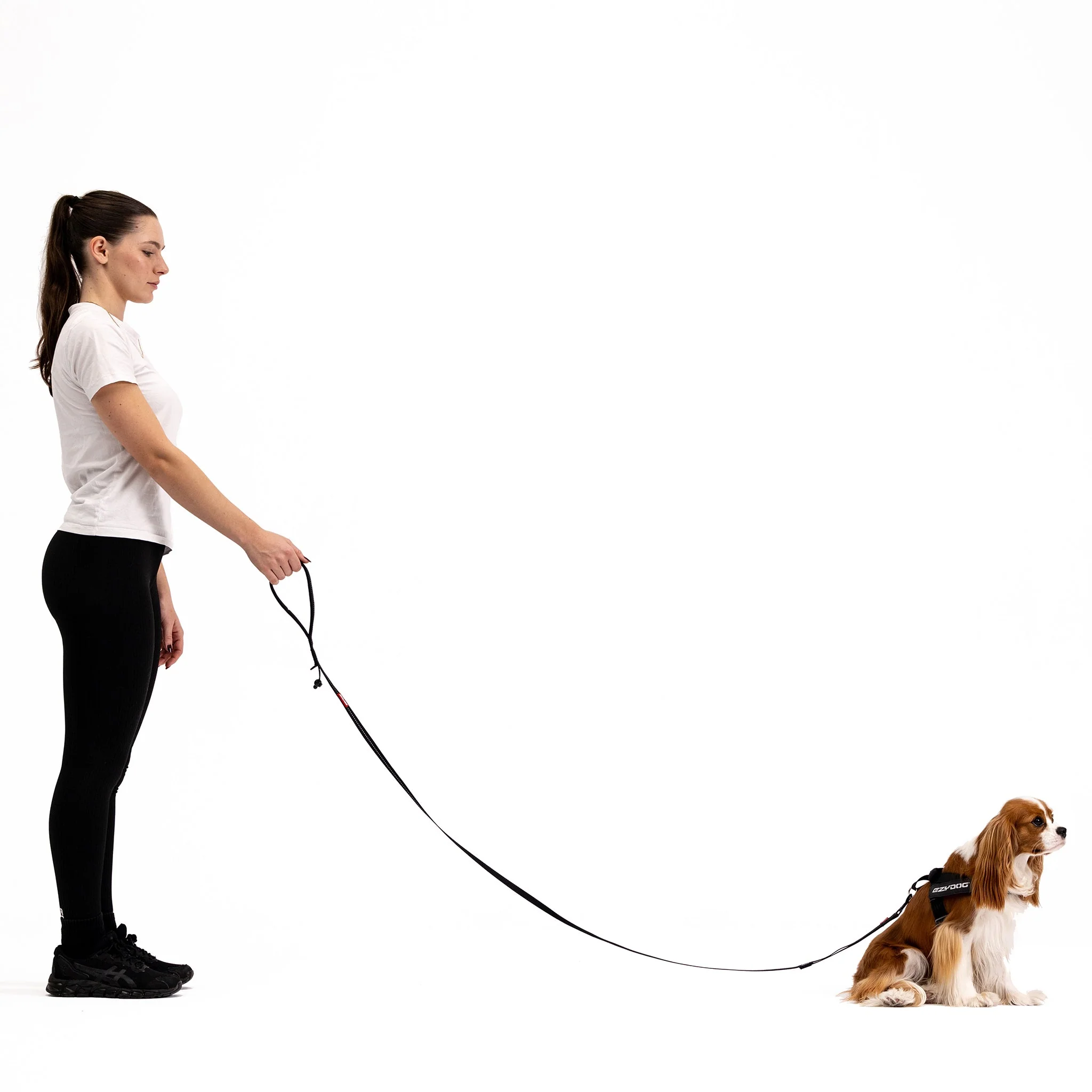 Soft Trainer™ Leash - Image 12