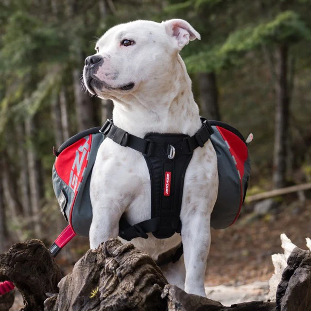 Summit Dog™ Backpack - Image 4