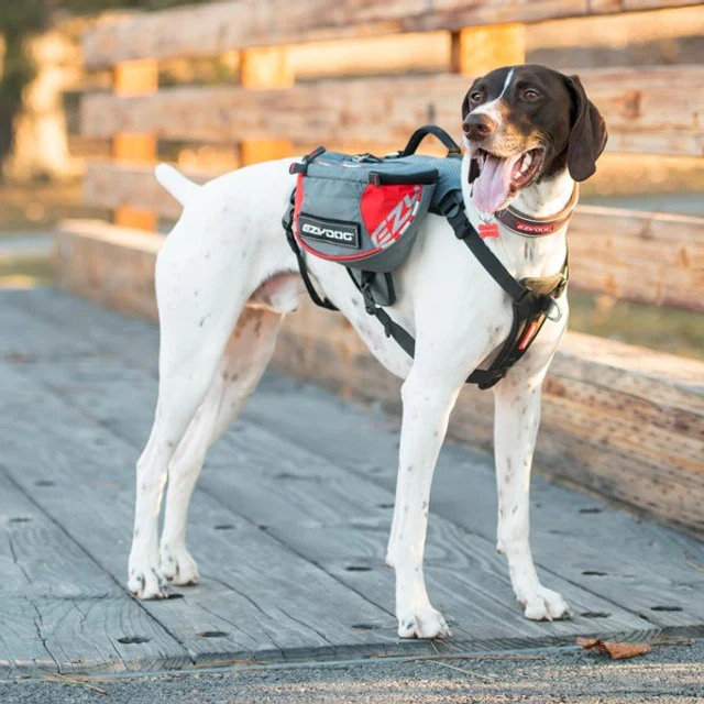 Summit Dog™ Backpack - Image 5