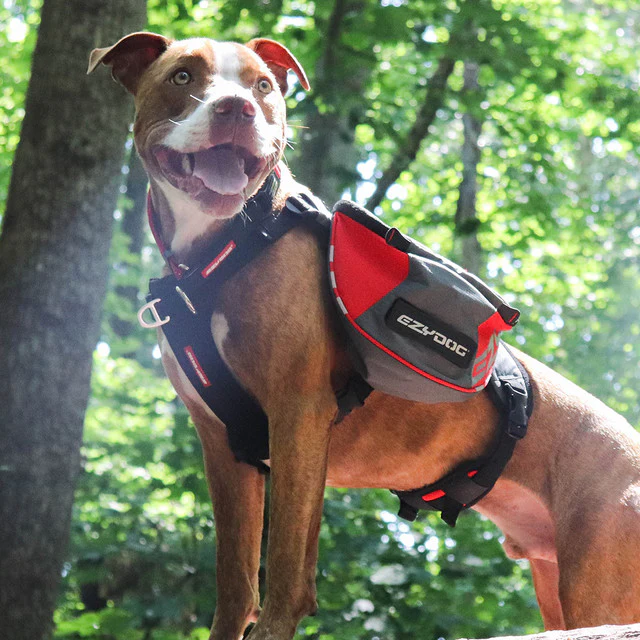 Summit Dog™ Backpack - Image 6