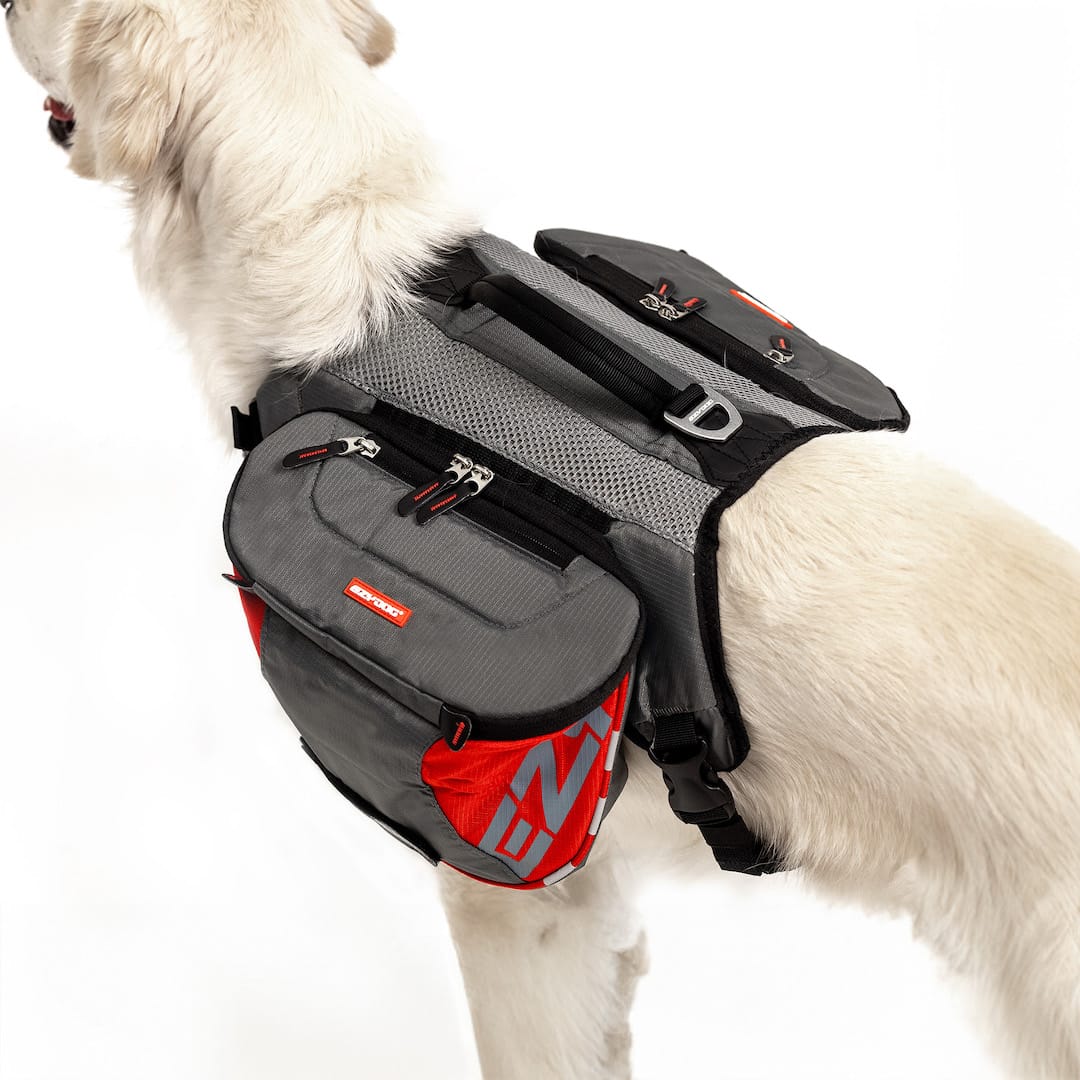 Summit Dog™ Backpack - Image 8