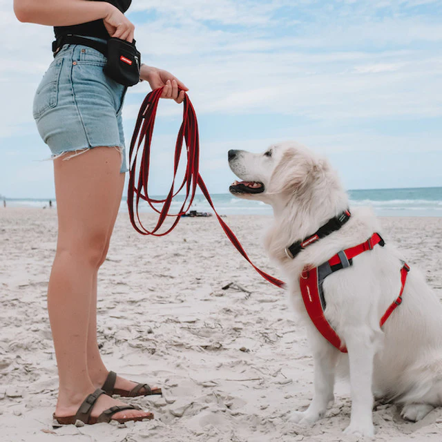 Track 'N' Train™ Leash - Image 4