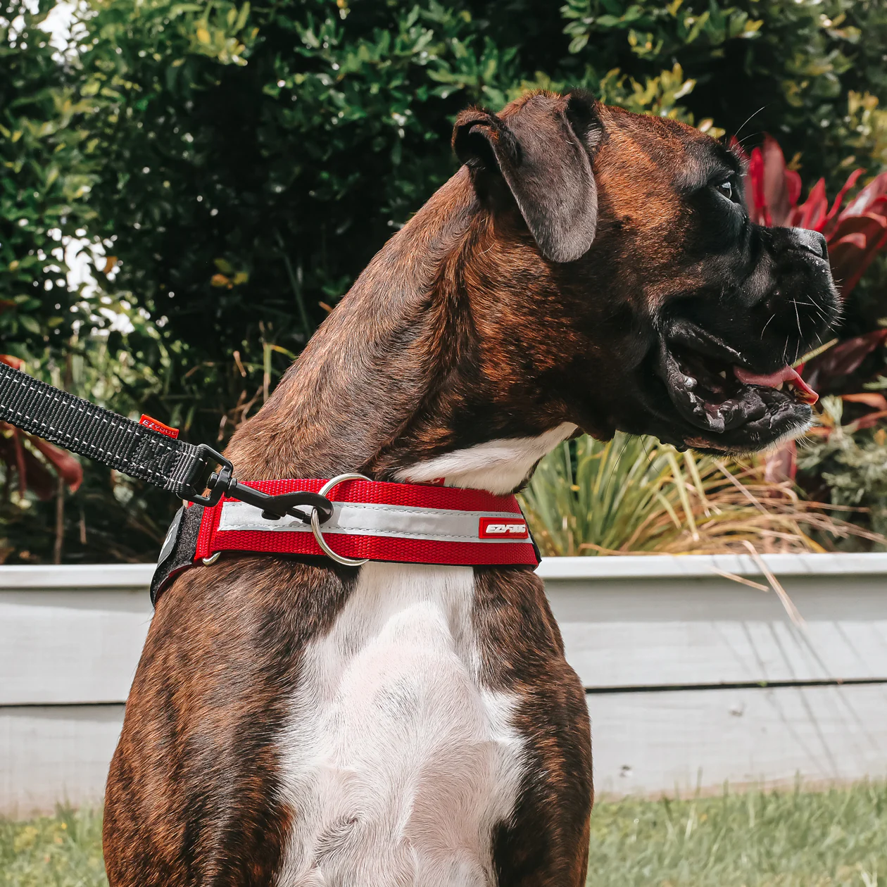 UpFront™ Leash Attachment - Image 12