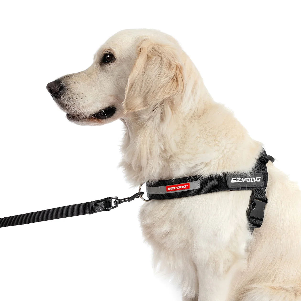 UpFront™ Leash Attachment - Image 2