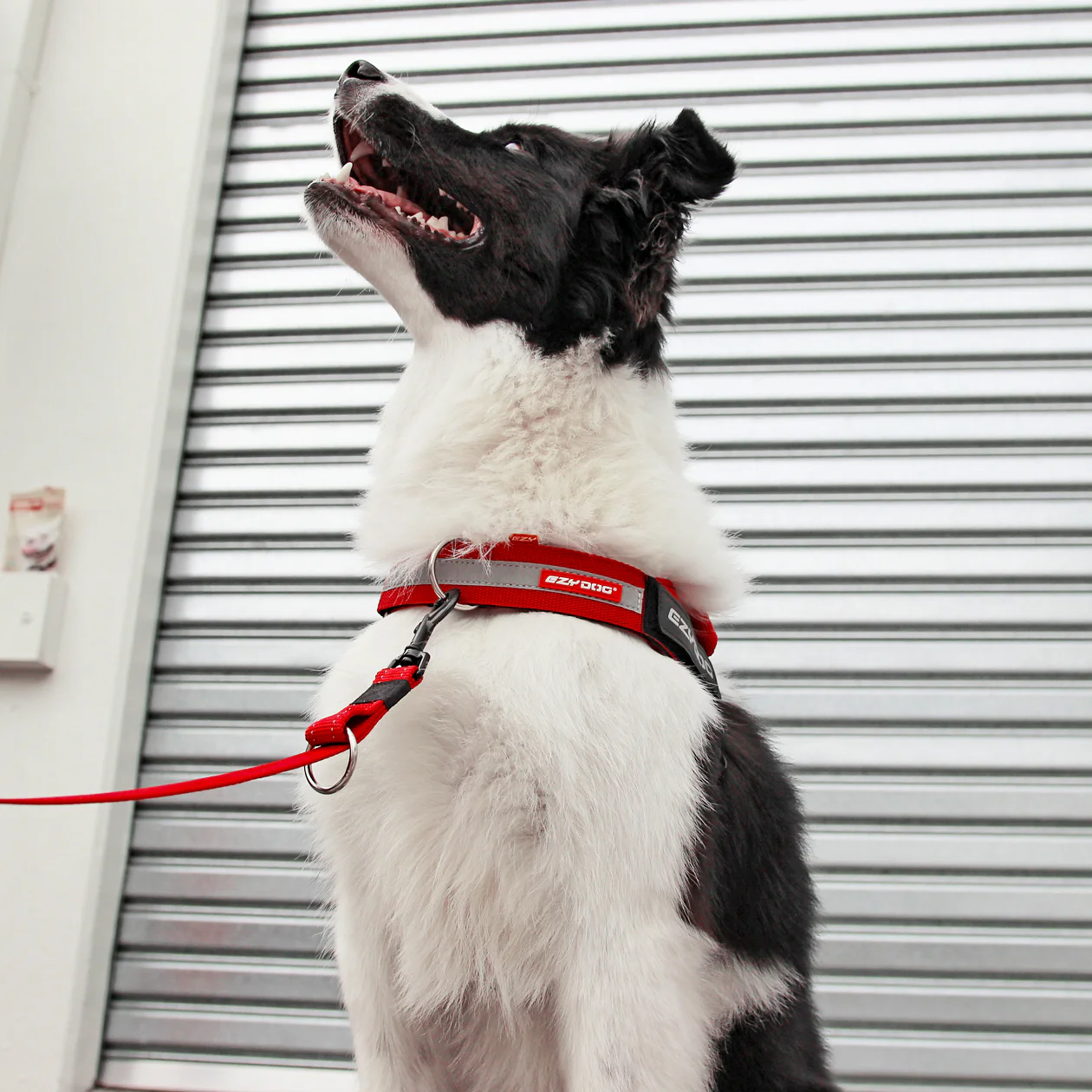 UpFront™ Leash Attachment - Image 3