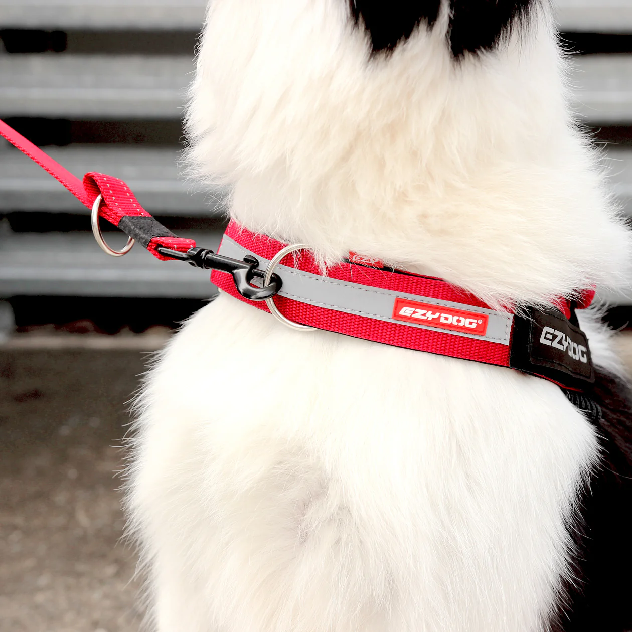 UpFront™ Leash Attachment - Image 4