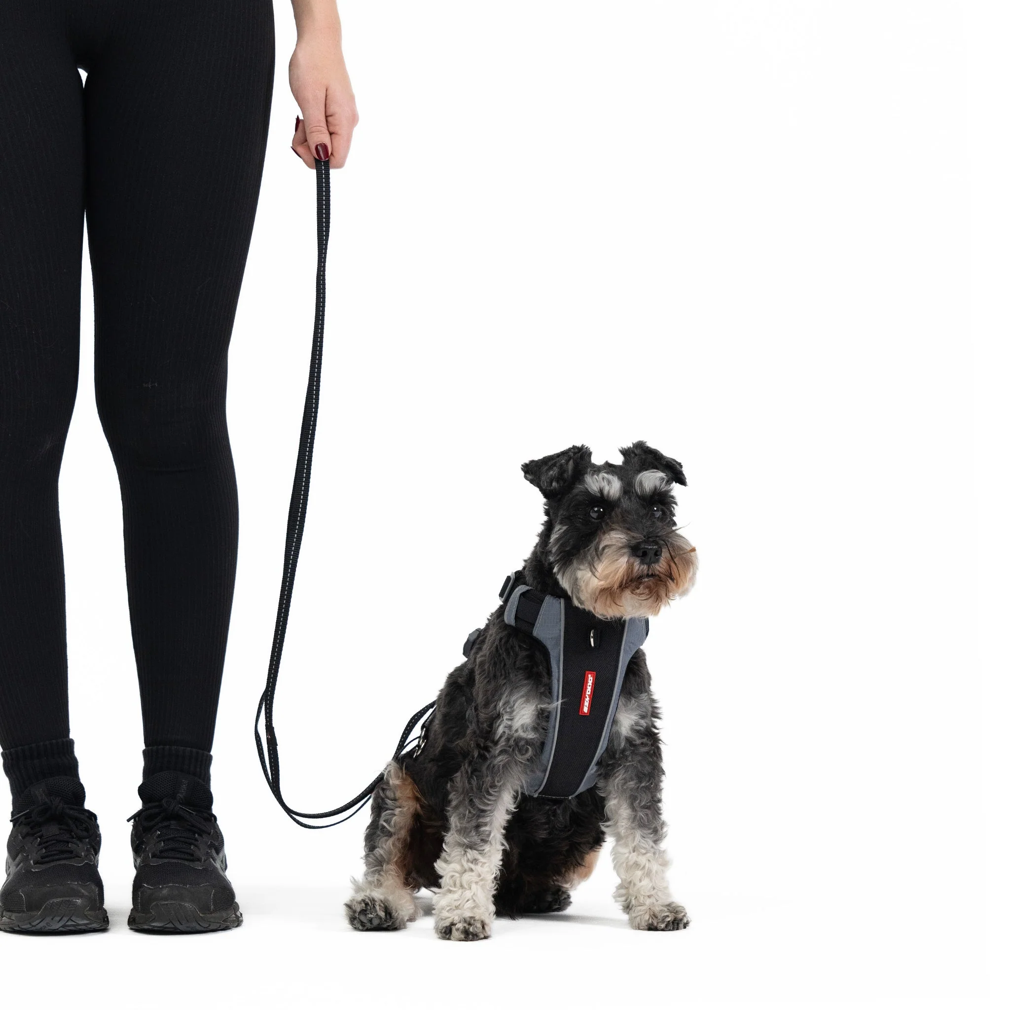 Vario 4™ Multi-Function Leash - Image 12