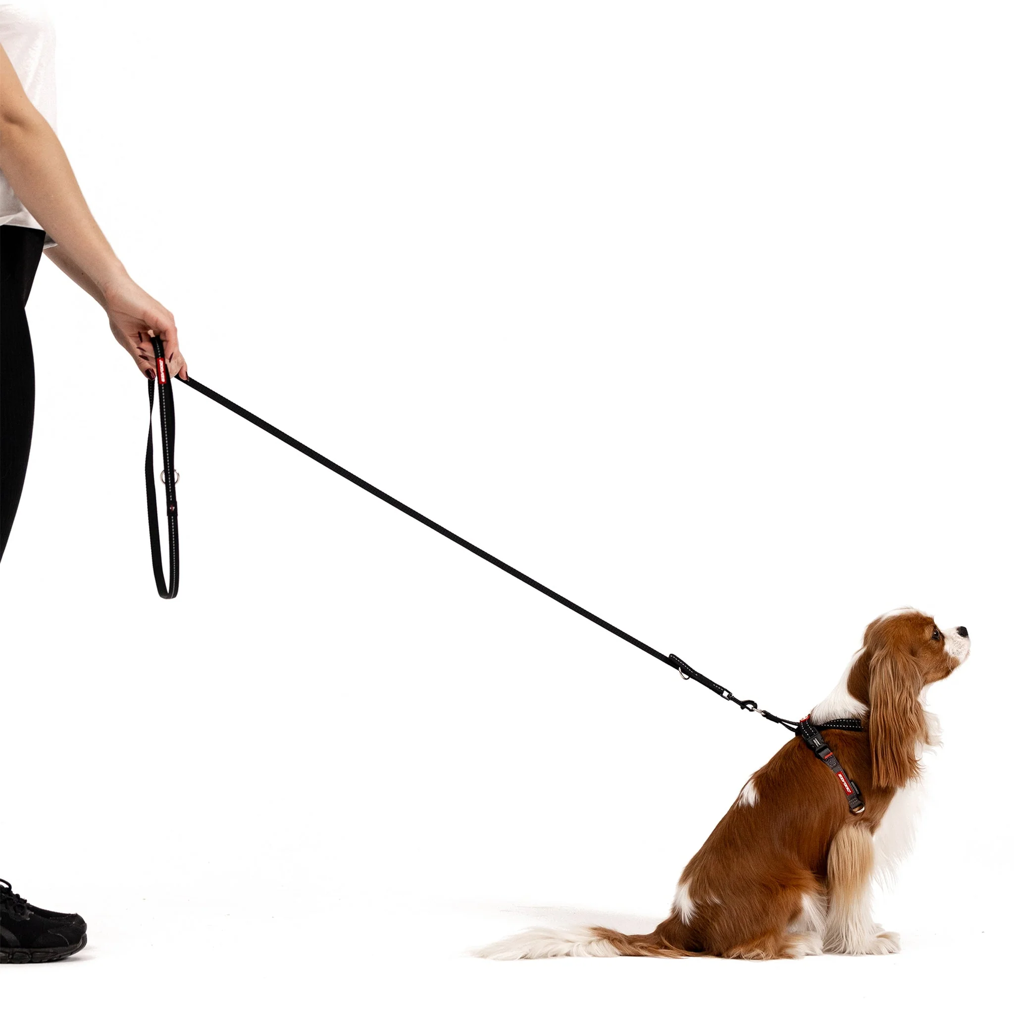 Vario 4™ Multi-Function Leash - Image 13