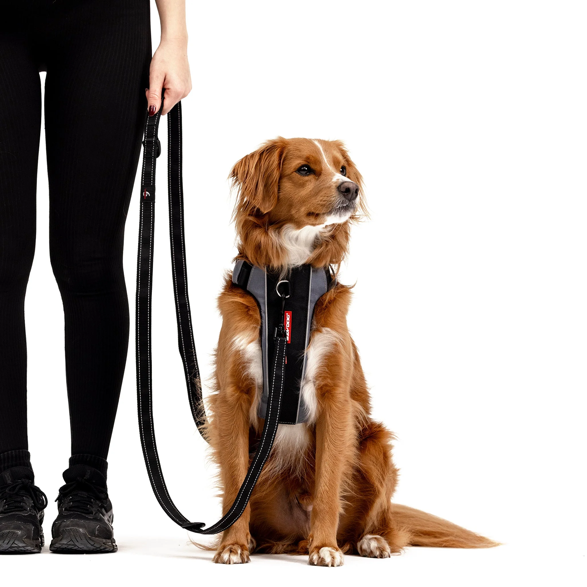 VARIO 6™ Multi-Function Leash - Image 2