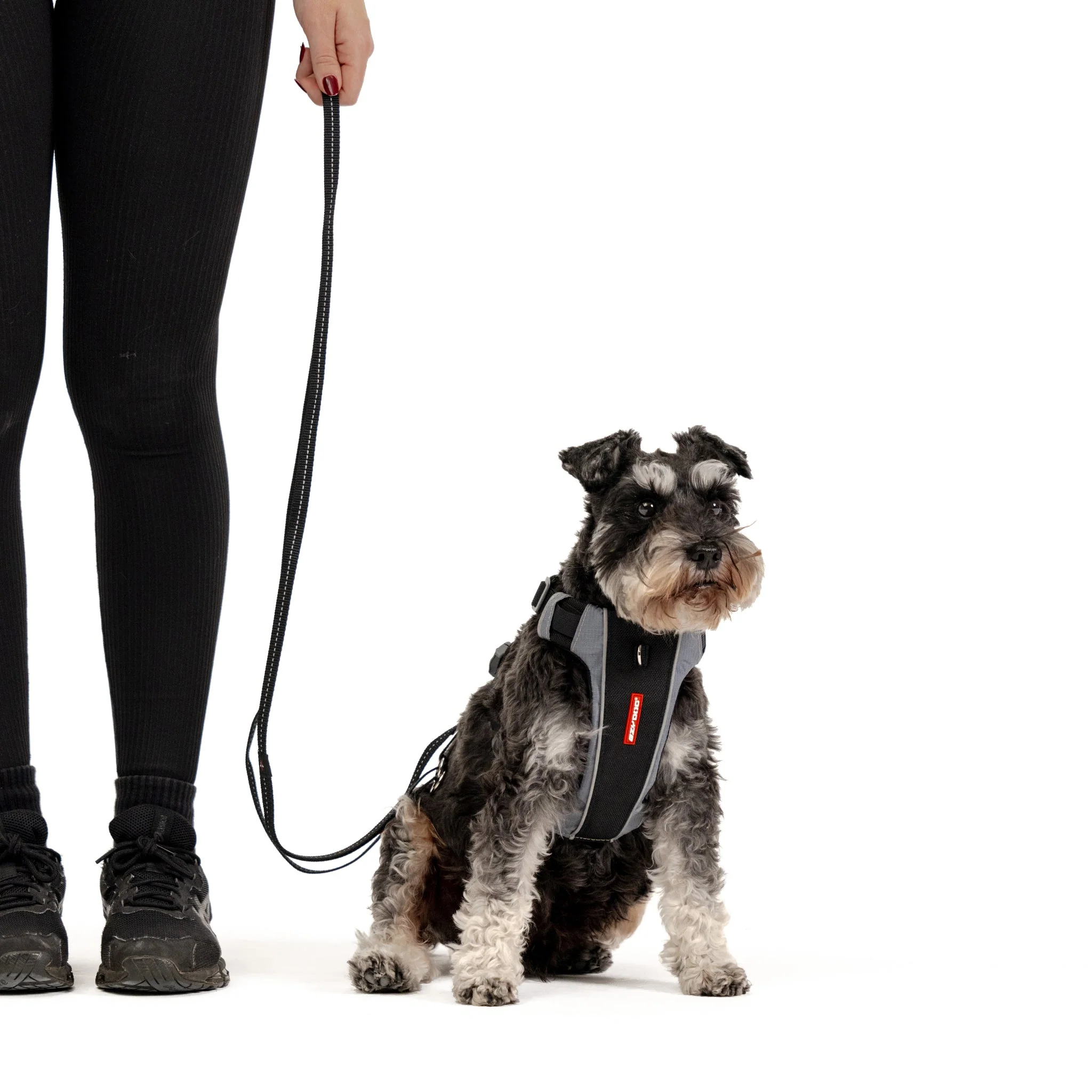 VARIO 6™ Multi-Function Leash - Image 7