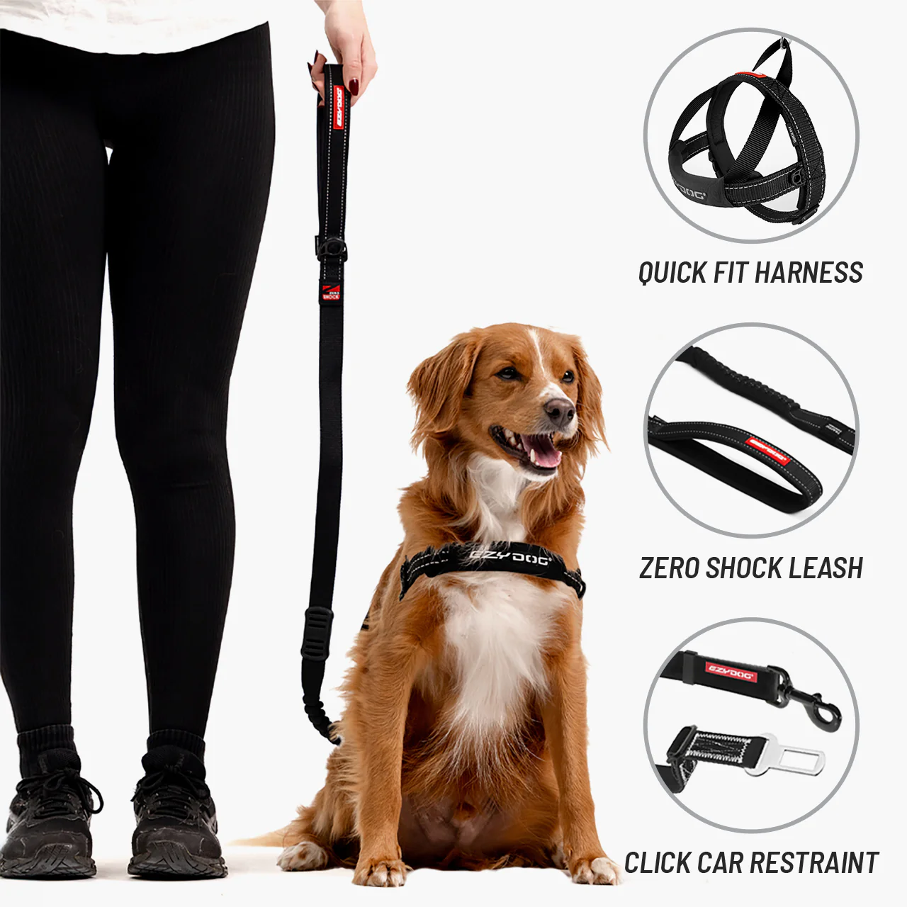 Walking Bundle - Image 2