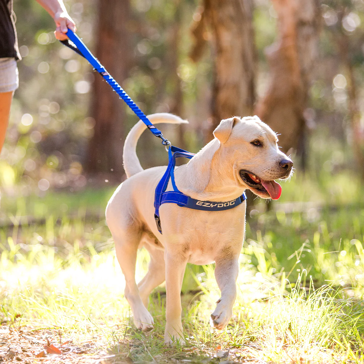 Walking Bundle - Image 7