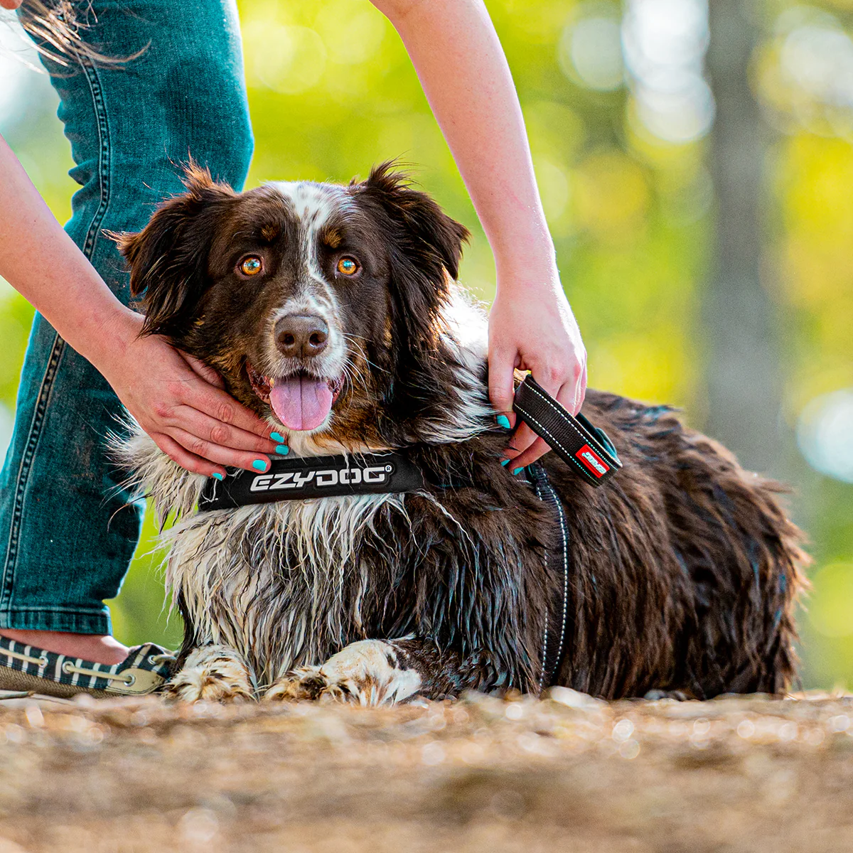 Walking Bundle - Image 8