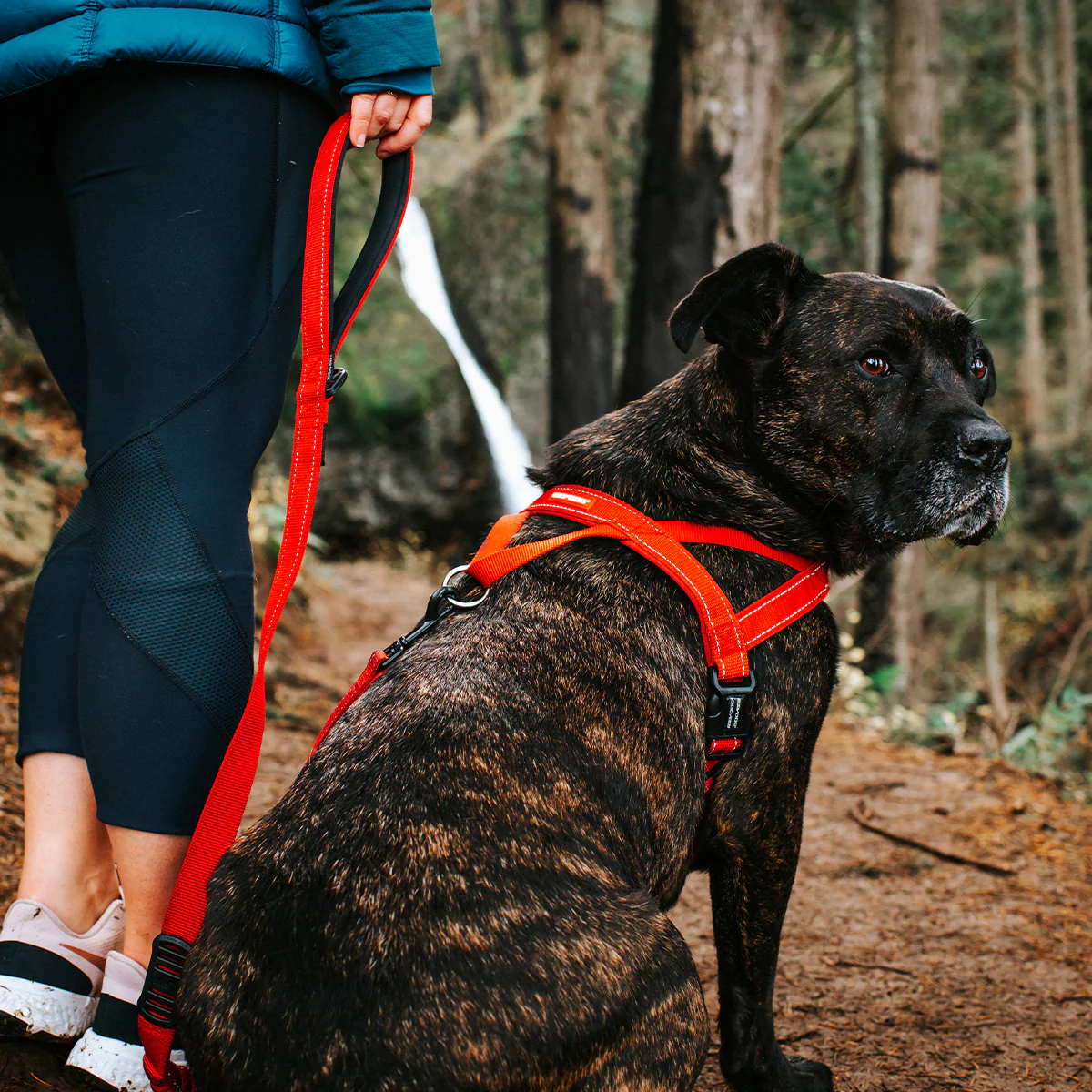 Walking Bundle - Image 9