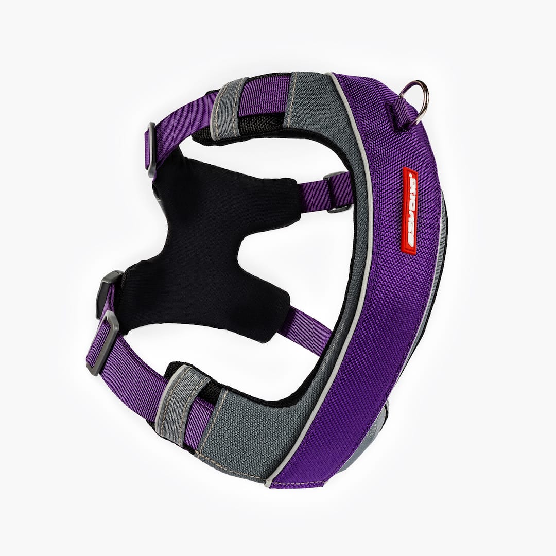 X-Link™ Dog Harness - Image 13