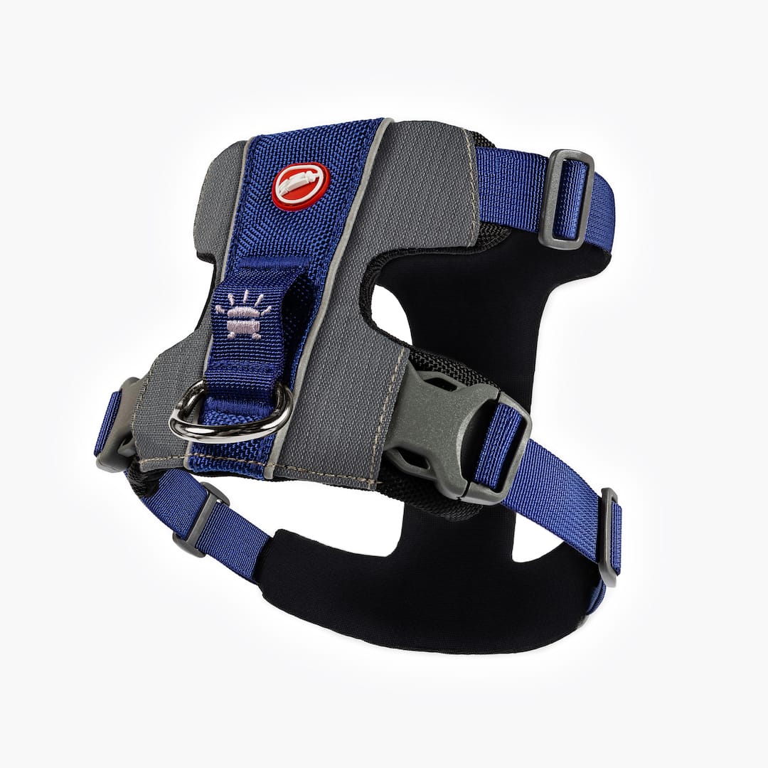 X-Link™ Dog Harness - Image 6