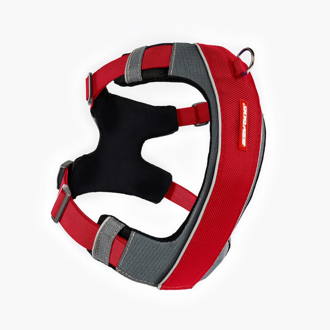 X-Link™ Dog Harness - Image 7