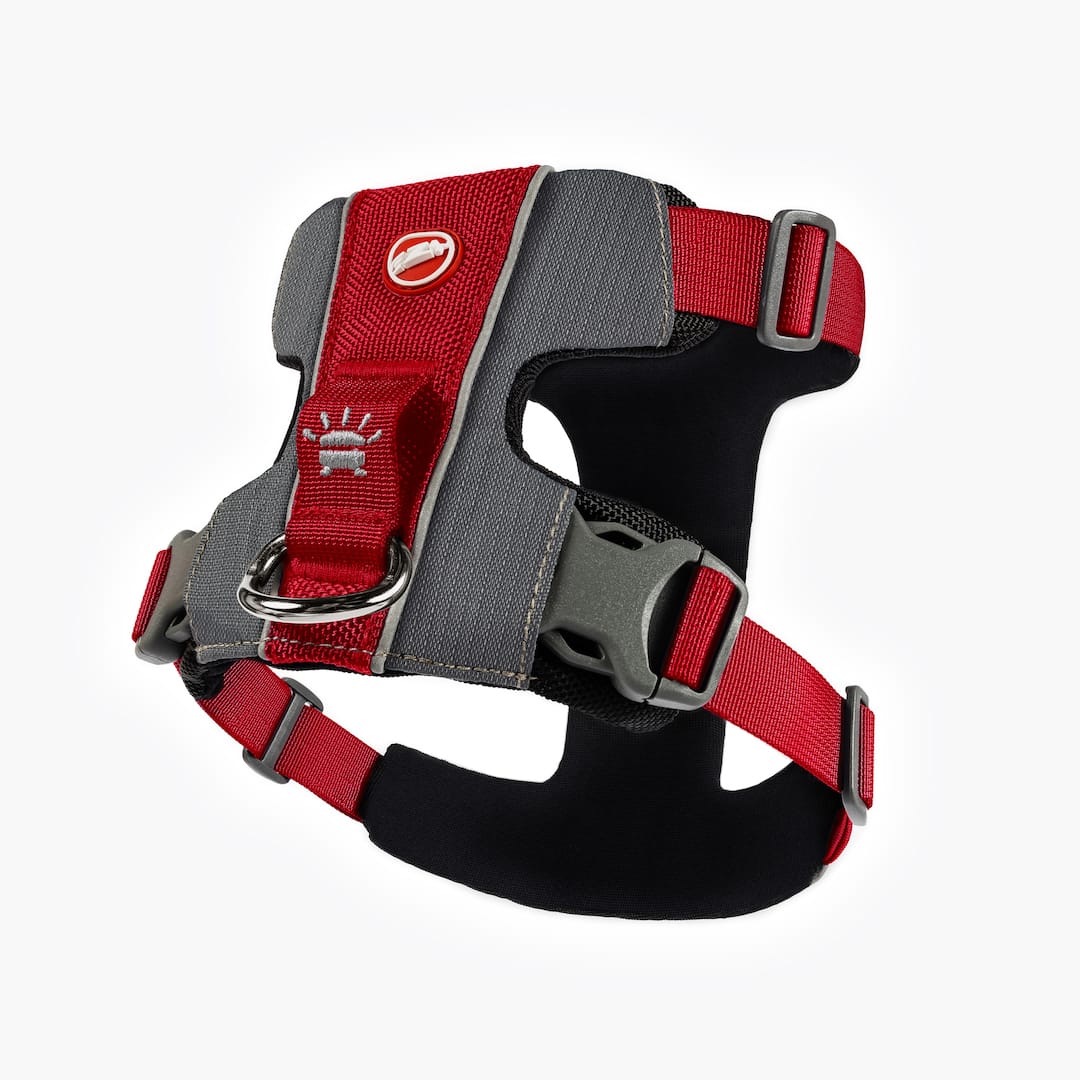 X-Link™ Dog Harness - Image 8