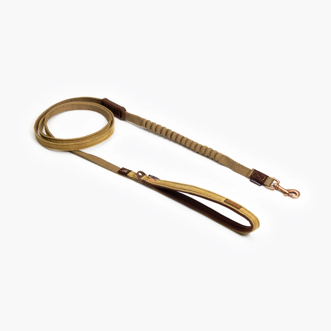 Zero Shock™ Lite Leash for Small Breeds - Image 10