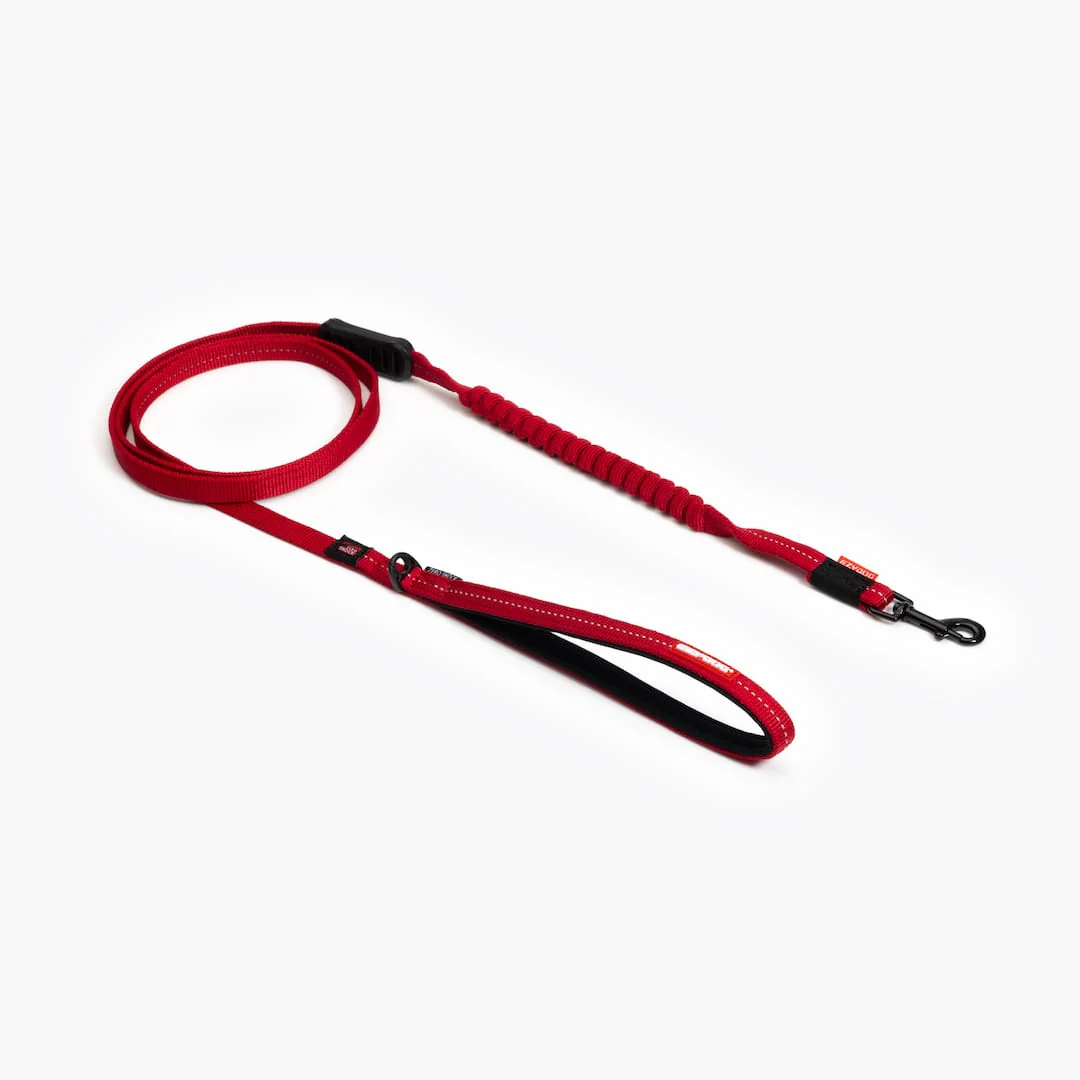 Zero Shock™ Lite Leash for Small Breeds - Image 3
