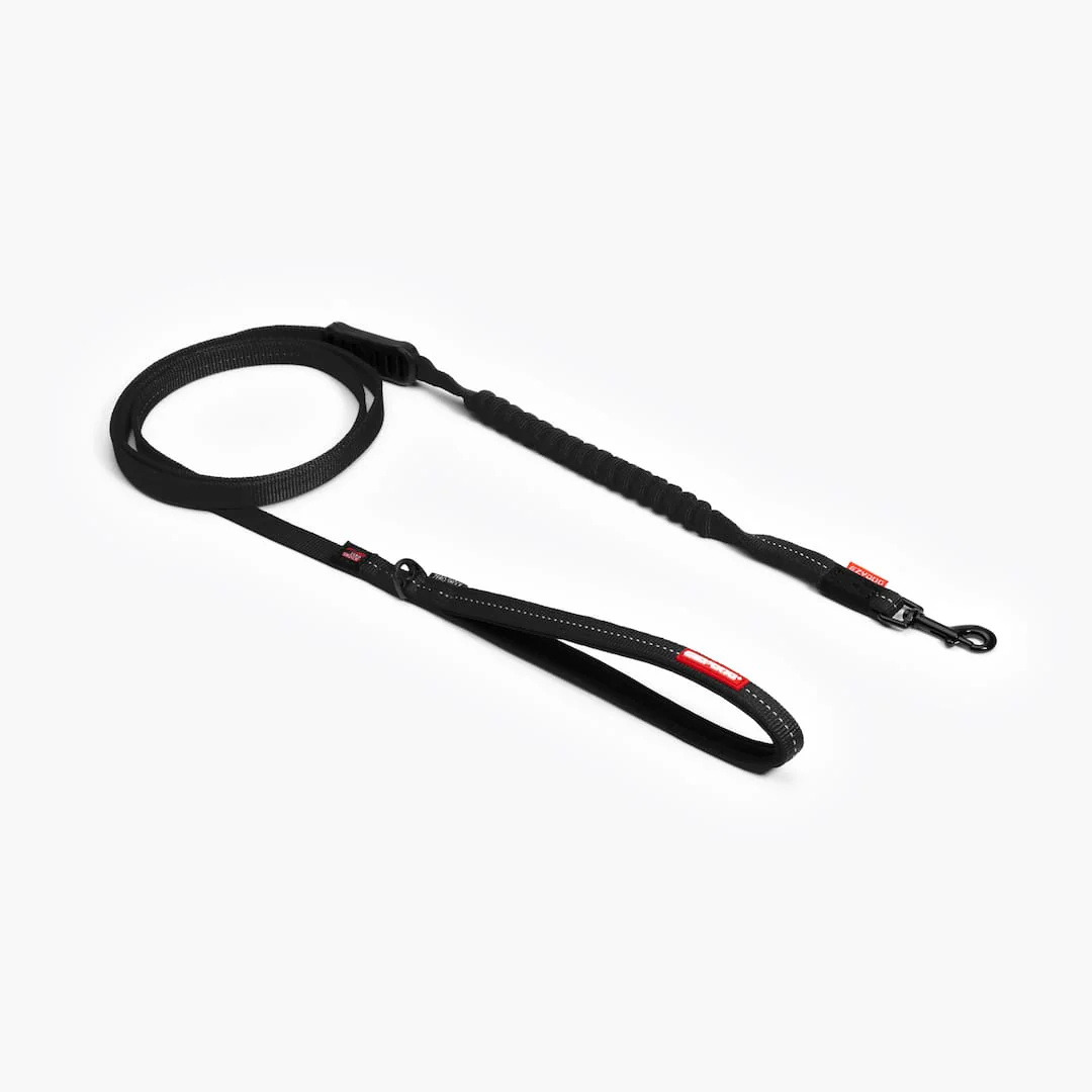 Zero Shock™ Lite Leash for Small Breeds - Image 4