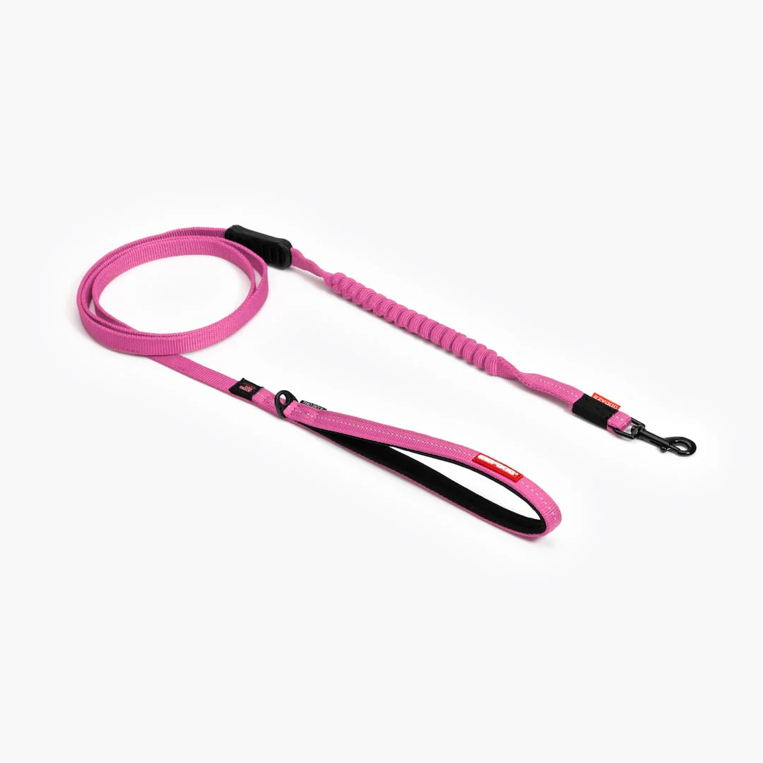 Zero Shock™ Lite Leash for Small Breeds - Image 5